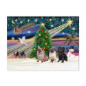 Christmas Magic / Pugs (three, 2+1Blk) postcards
