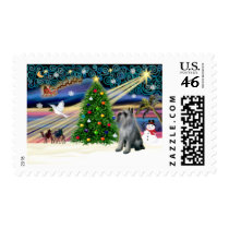 Christmas Magic Schnauzer (P-S Giant) Postage Stamp