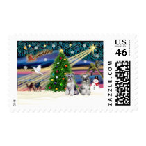Christmas Magic Schnauzers (two) postage by dogartchristmasgifts Christmas Magic Schnauzers (two) postage