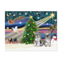 Christmas Magic Schnauzers (two) postcards