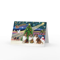 Christmas Magic Shetland Sheepdogs (3 Sable) Card