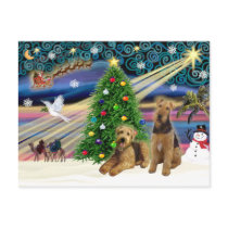 Christmas Magic - Two Airedales Postcards