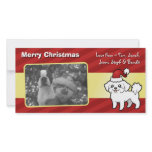 Christmas Maltese (puppy cut) Customized Photo Card
