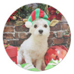 Christmas - Maltese - Quinn Party Plates
