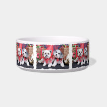 Christmas - Maltzer - Bandit - Paptese - Daisy Cat Bowl