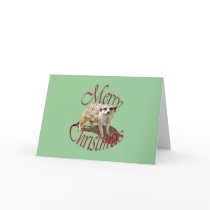 Christmas Meerkat cards