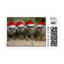 Christmas Meerkat Postage postage