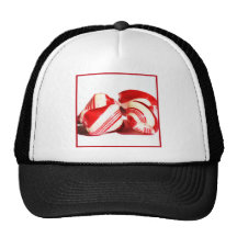 Christmas mints cap mesh hats