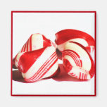 Christmas mints magnet