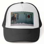 CHRISTMAS MOOSE