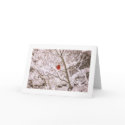 Christmas Morning Visitor cards by Sadiebits Christmas Morning Visitor cards