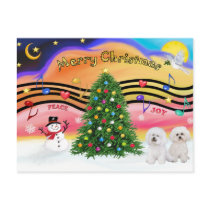 Christmas Music 2 - Bichon Frise (two) Post Card