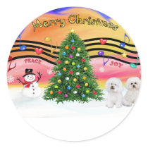 Christmas Music 2 - Bichon Frise (two) Round Sticker