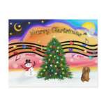 Christmas Music 2 - Dachshund (long haired sable)