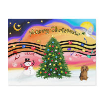 Christmas Music 2 - Dachshund (long haired sable) postcards