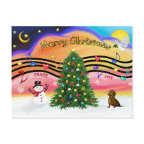 Christmas Music 2 - Dachshund (  ) postcards