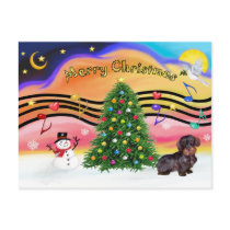 Christmas Music 2 - Dachshund (wire haired-brown) postcards