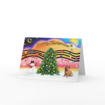 Christmas Music 2 - Norfolk Terrier cards by dogartchristmasgifts Christmas Music 2 - Norfolk Terrier cards