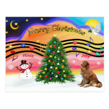 Christmas Music 2 - Nova Scotia Duck Tolling Retri Post Card