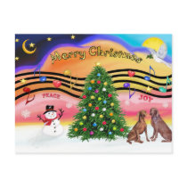 Christmas Music 2 - Weimaraners (two) postcards