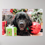 Christmas - Newfoundland - Izzie Print