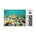 Christmas on the Sea Floor Postage
