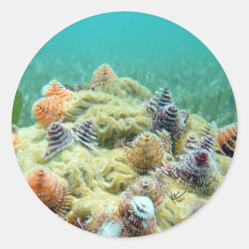 Christmas on the Sea Floor Round Sticker