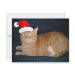 Christmas Orange Tabby Cat Custom Announcement