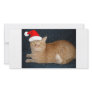 Christmas Orange Tabby Cat Customized Photo Card