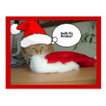 Christmas Orange Tabby Cat Post Cards