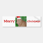 Christmas Orange Tabby Kitten Bumper Stickers