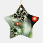 Christmas Ornament ornaments
