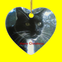 Christmas Ornament ornaments