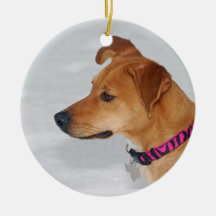 Christmas ornament 2011