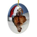 Christmas Ornament (Flynn)