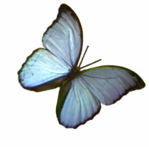 Christmas Ornament Freiburg Germany Blue Butterfly Photo Cut Outs