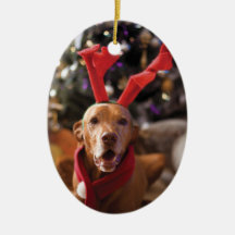 Christmas Ornament (Henry)