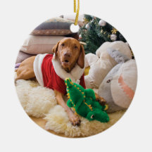 Christmas Ornament (Holly)