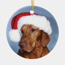 Christmas Ornament (Rogan)
