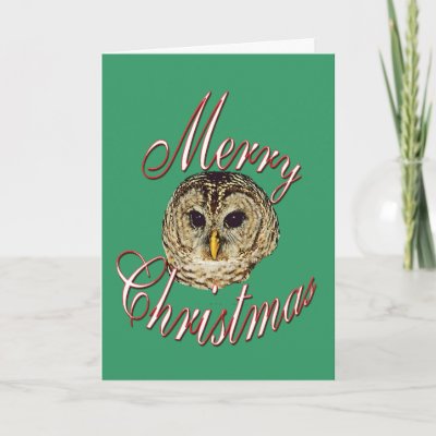 Christmas Owl cards