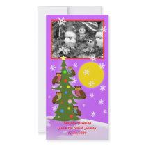 Christmas owl tree photo cards