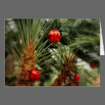 Christmas Palms Greeting Card cards