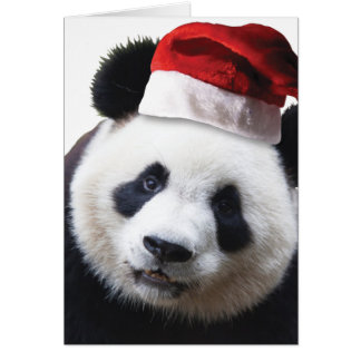 christmas_panda_bear_greeting_card-r8b30026a77a14ee59c5fae04961704c4_xvuat_8byvr_324.jpg