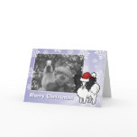 Christmas Papillon Cards