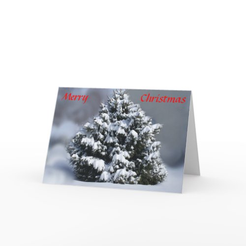 Christmas Peace card