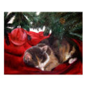Christmas Peace posters