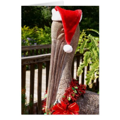 Christmas Pelican Greeting Cards
