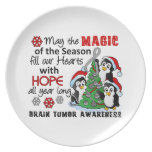 Christmas Penguins Brain Tumor Party Plate