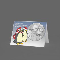 Christmas Penguins Greeting Card