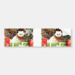 Christmas - Persian Cat - Toby Bumper Sticker